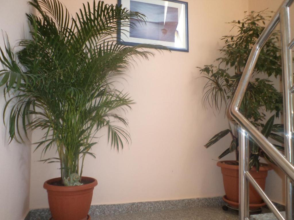 Apartments Batur Zadar Dış mekan fotoğraf